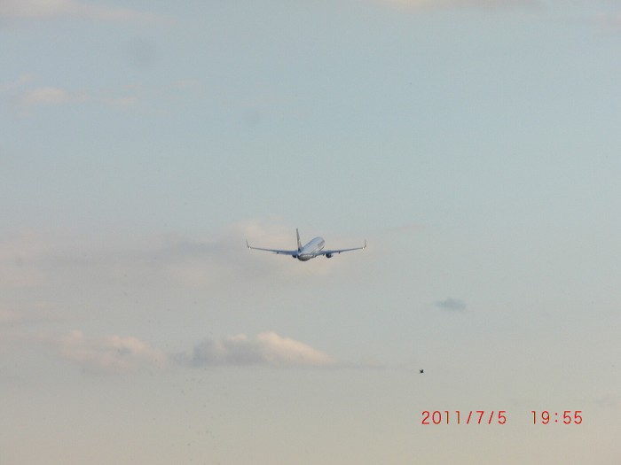 sp 050.jpg